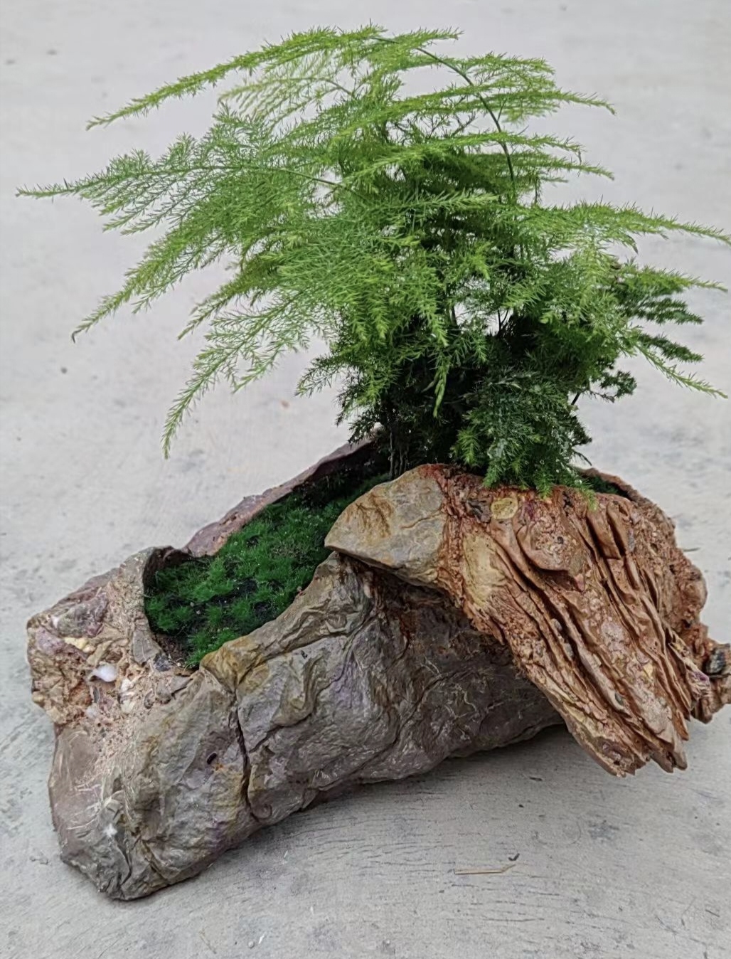 奇石花盆4号链接