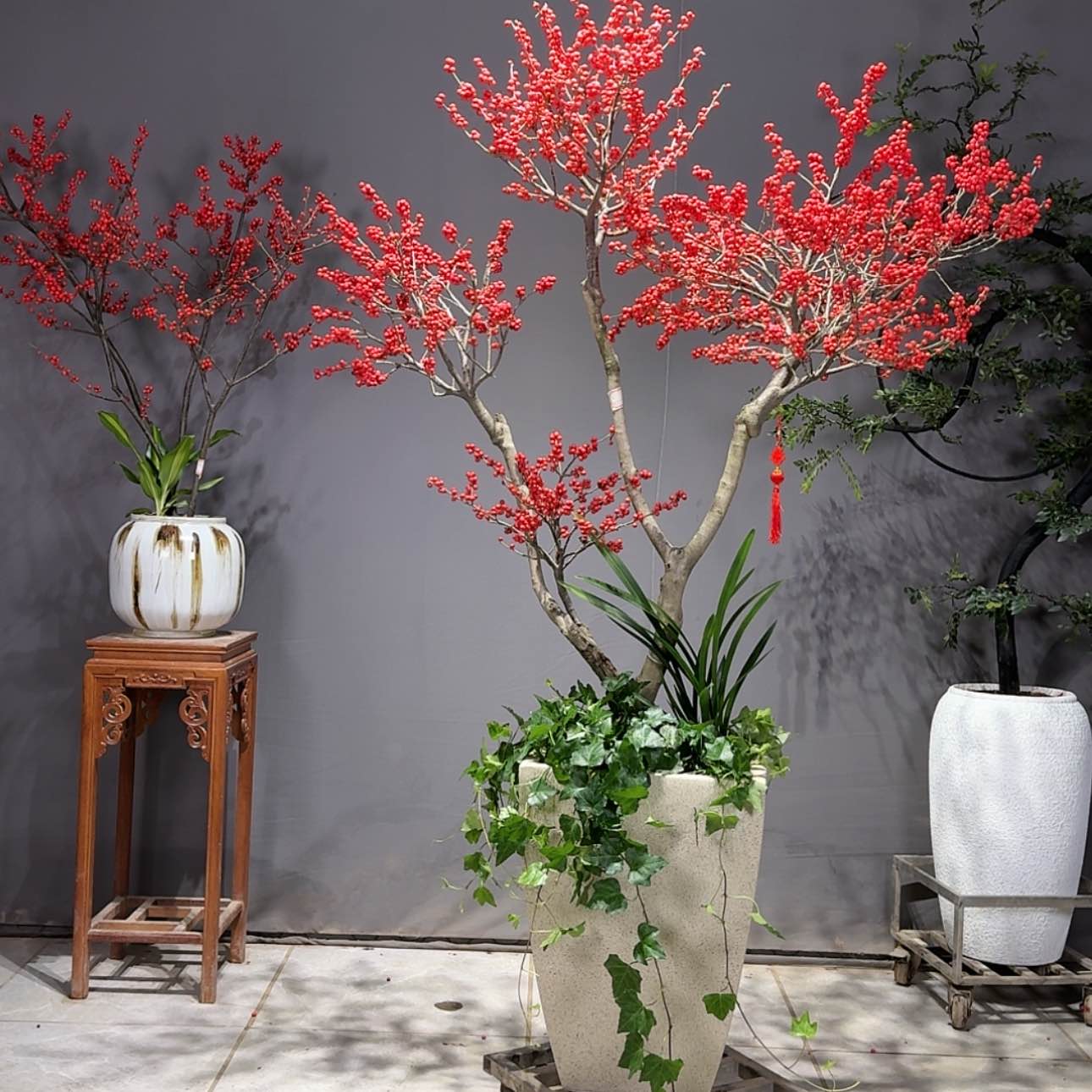 【闪购商品】红陶171cm(含)-200cm(含)佳***辉
