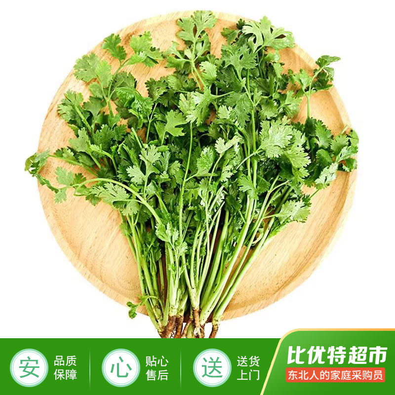 香菜
