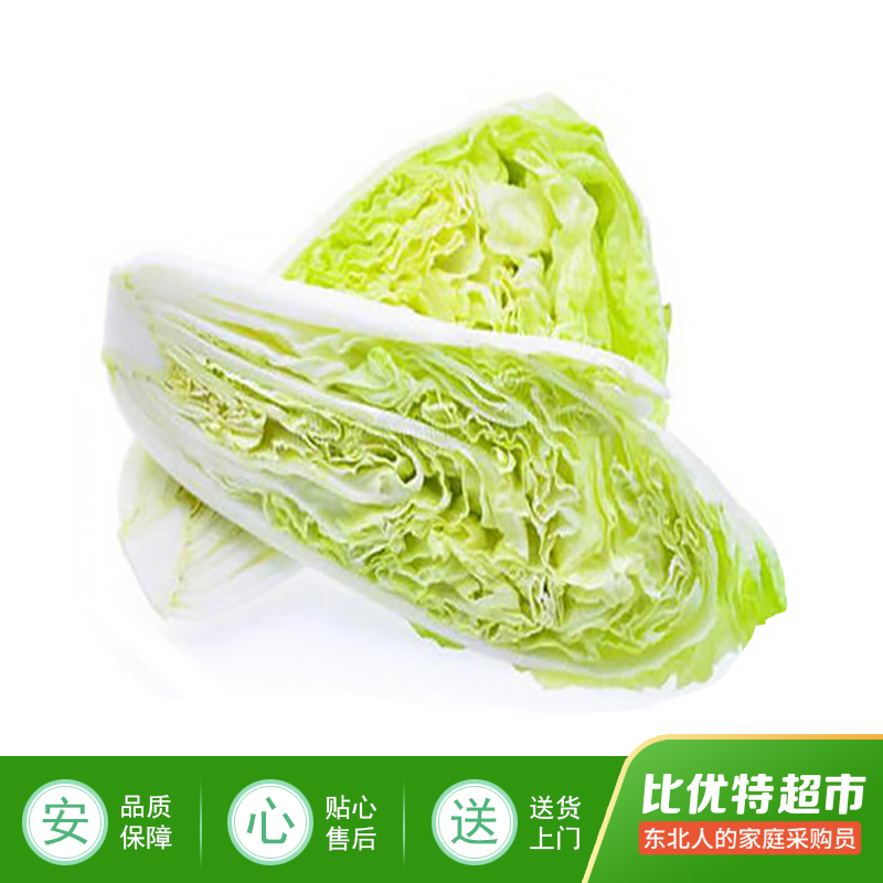 白菜