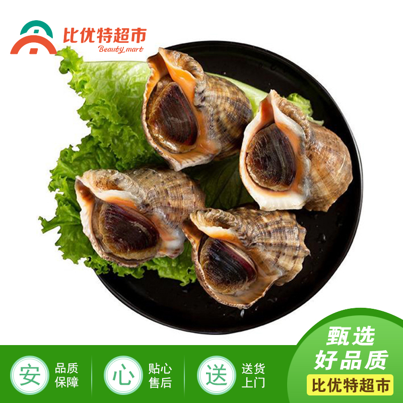 海螺 约300g/份