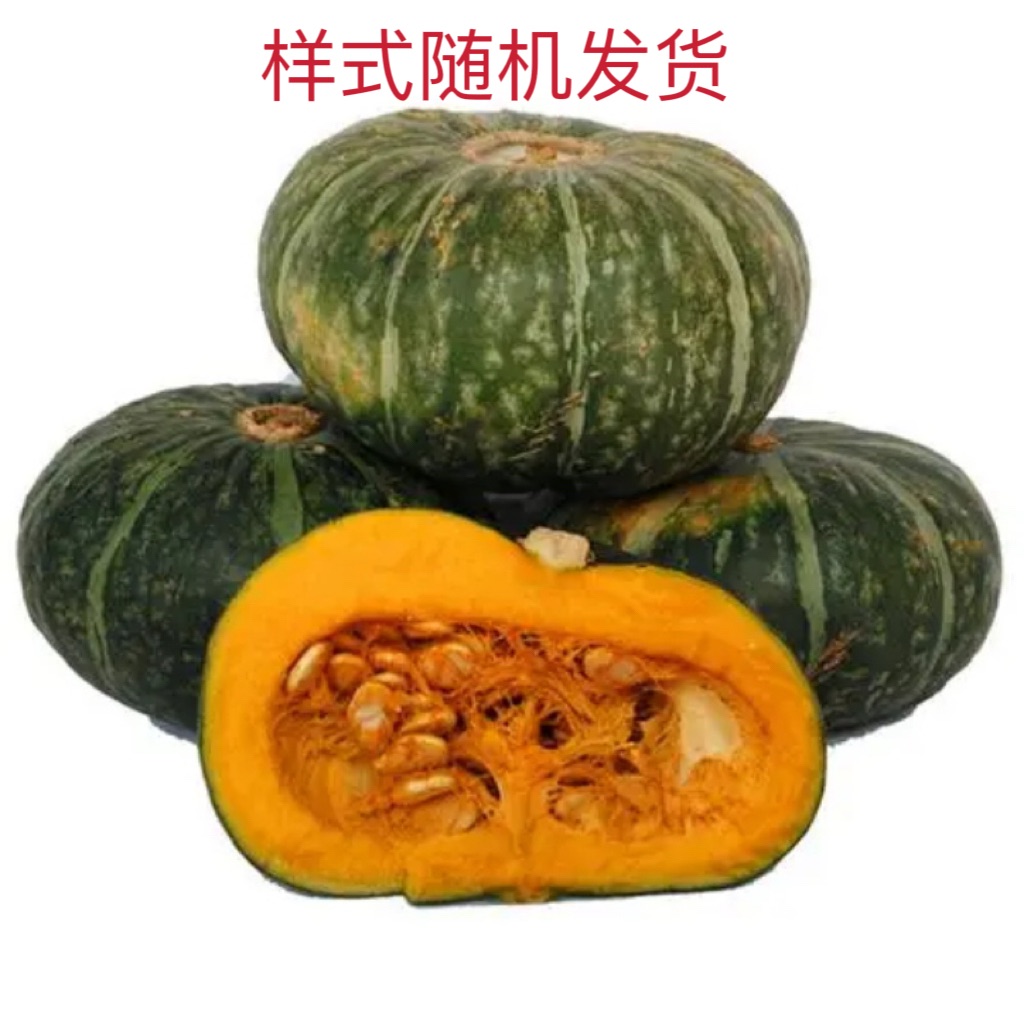 板栗南瓜