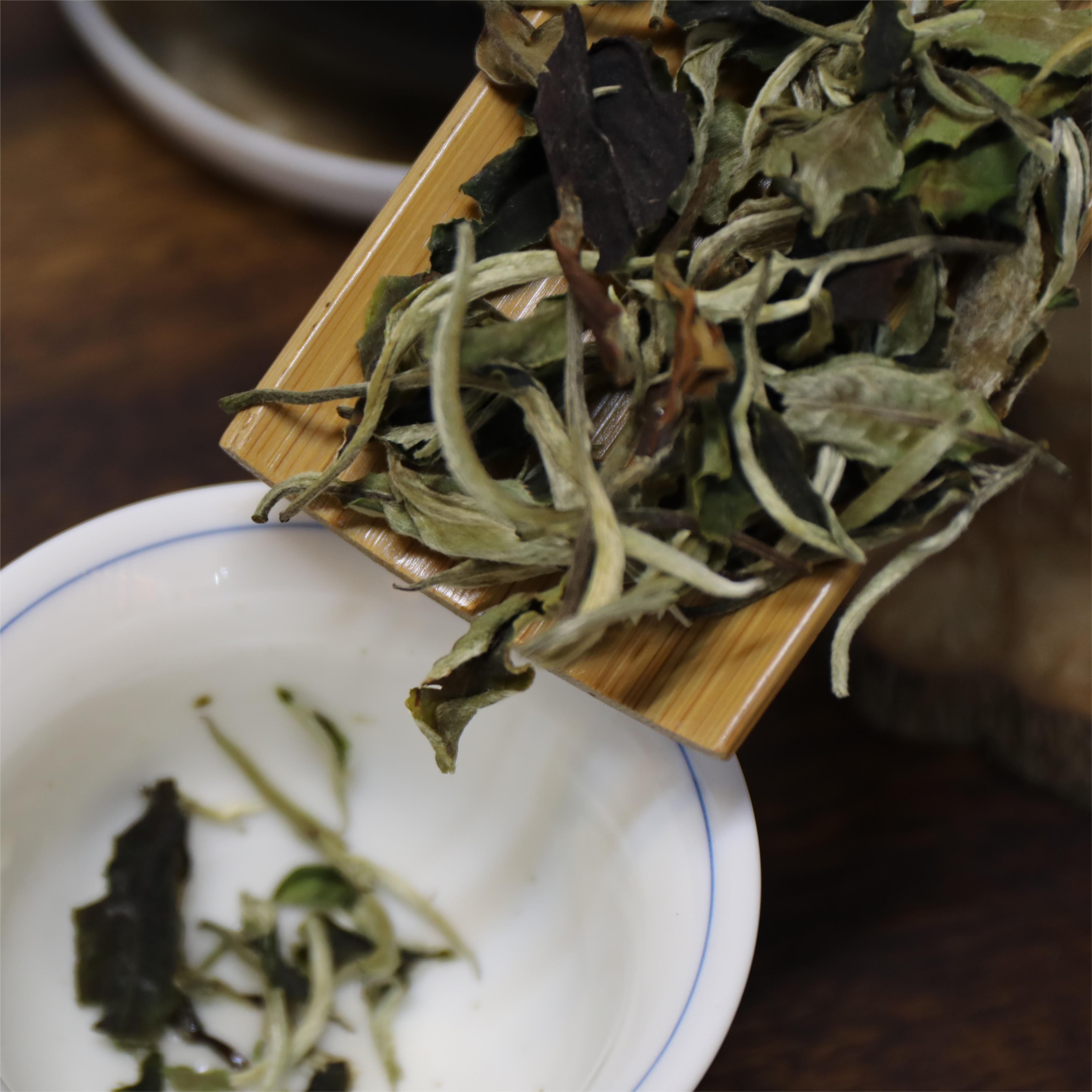 月光白散茶 云南白茶