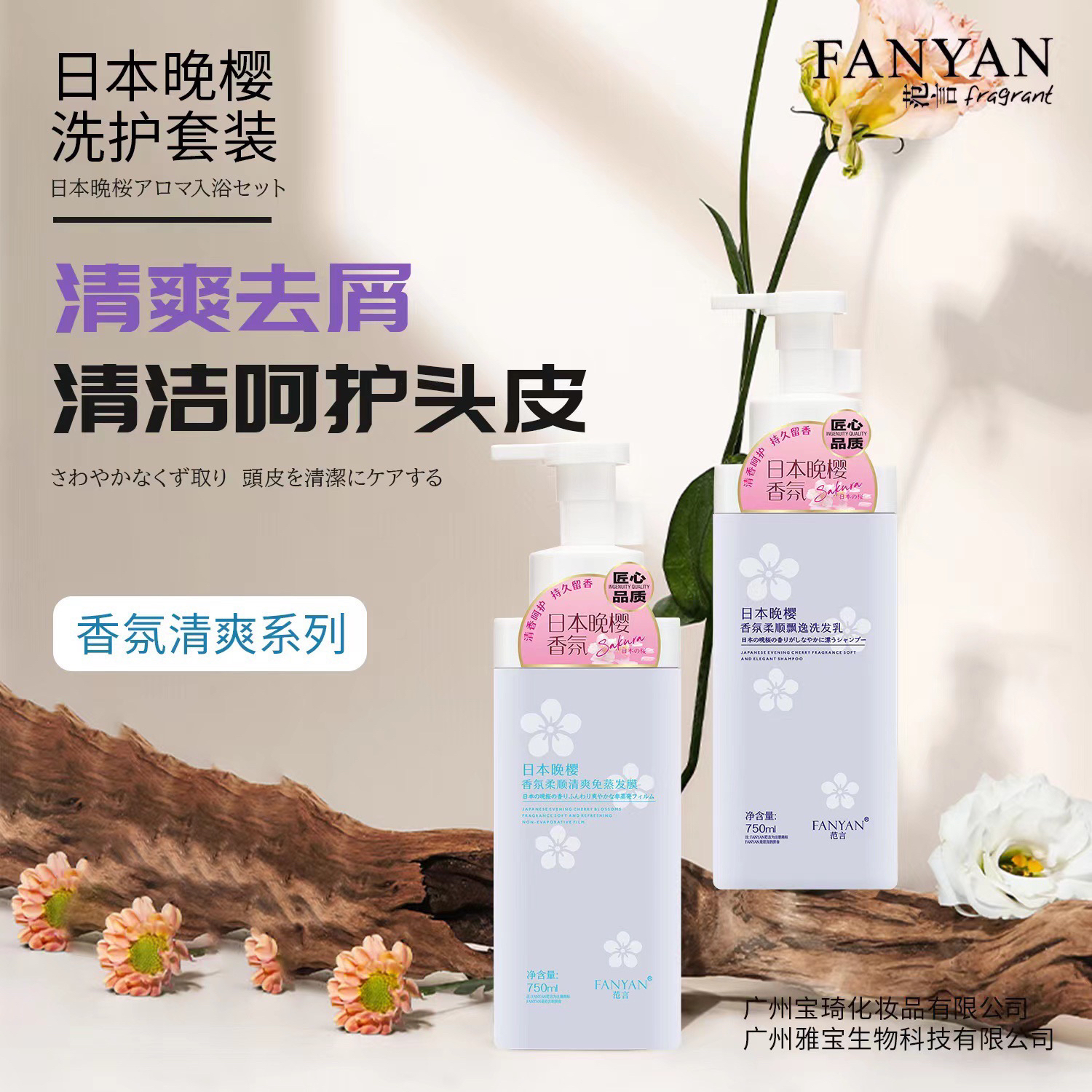 范言日本晚樱控油去屑柔顺持久留香洗发