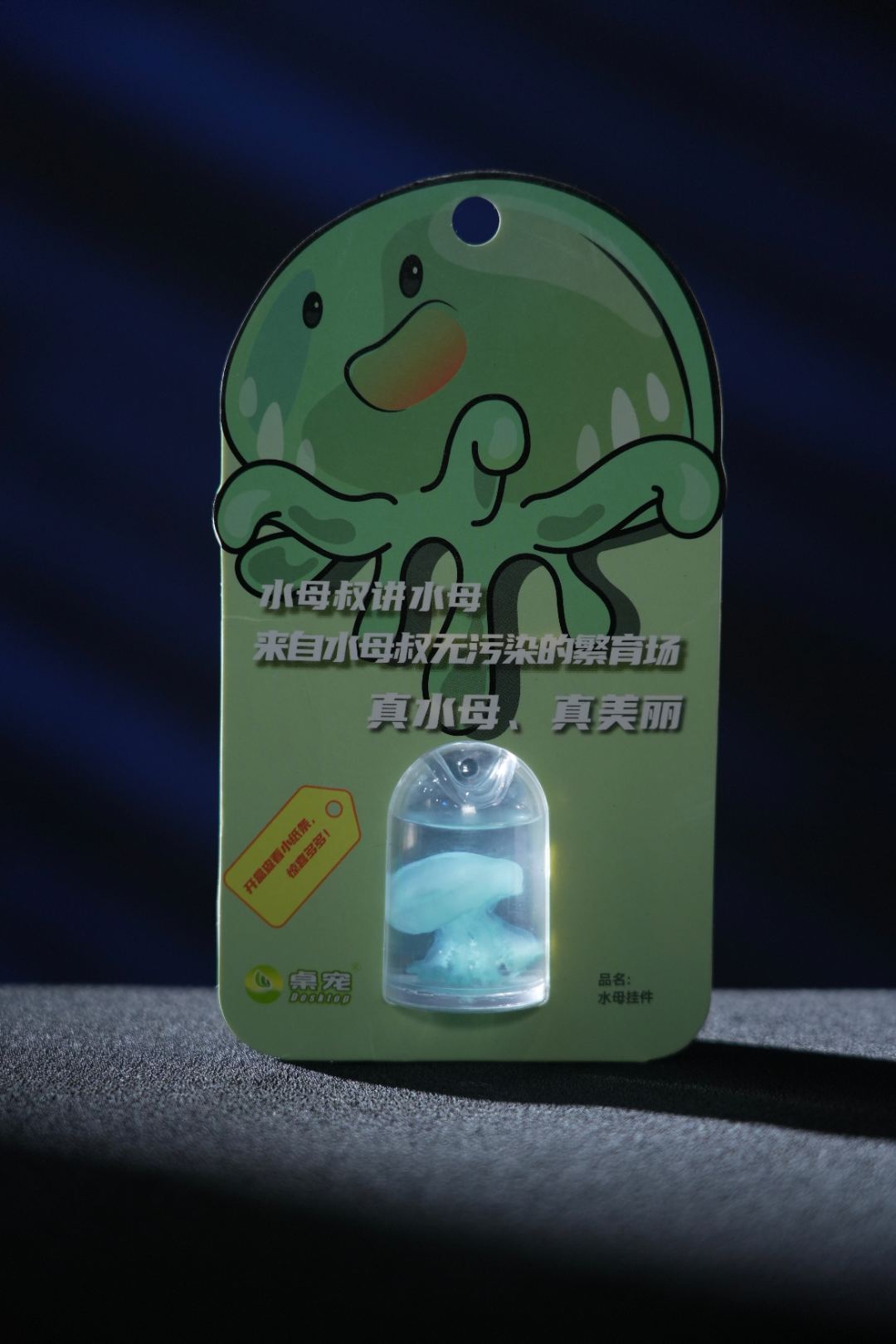 女生宠物创意玩具海洋生物标本赤月真水母挂件装饰摆件儿童礼品女