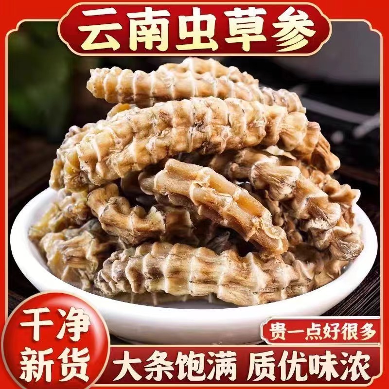【虫草参】正品云南野生虫草参地参顶天柱草煮水炖汤泡酒料搭配枸杞