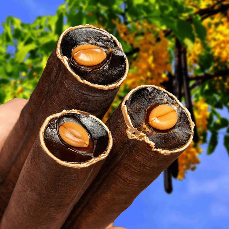 云南高山植物腊肠果250g人工选货无坏果无花果2024年新货干净正品