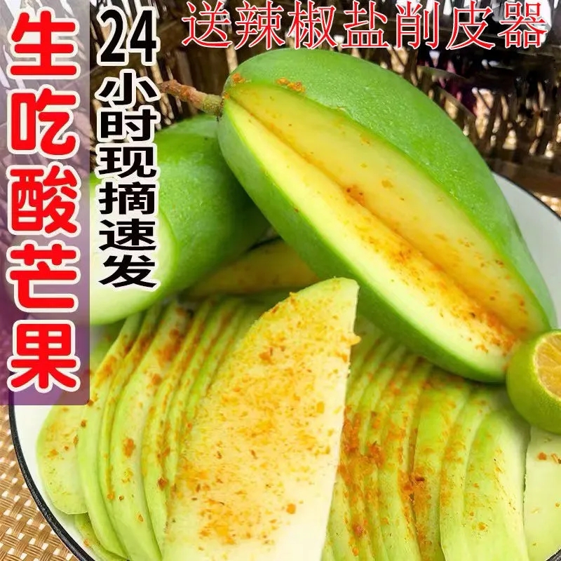 广西新鲜酸嘢生吃酸脆芒果酸芒海南青芒果云南芒果腌制整箱直发