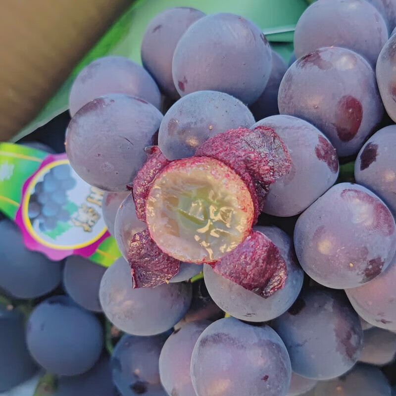 【赤峰市区当天达】糖豆巨峰葡萄约3.5斤-5斤装包邮到家