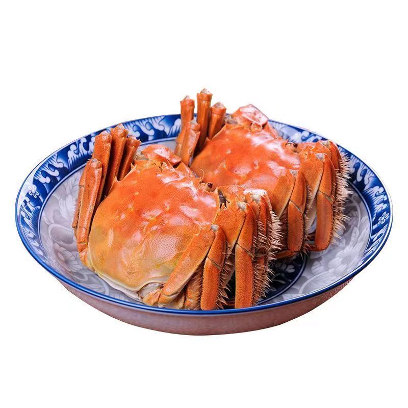 蟹现货母2.8-3.0两 6/8/10只可加工花雕需要原料不加工备注