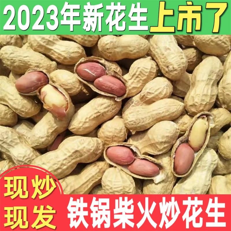 2023年新货炒花生原味带壳现炒现发铁锅柴火炒熟花生带壳生花生