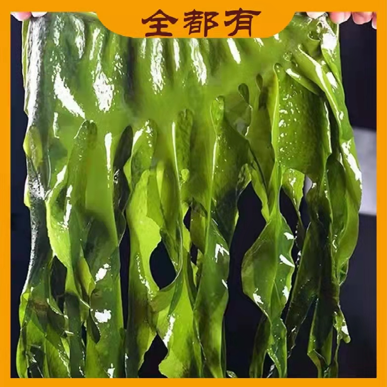 【全都有】盐渍裙带菜带箱5斤！