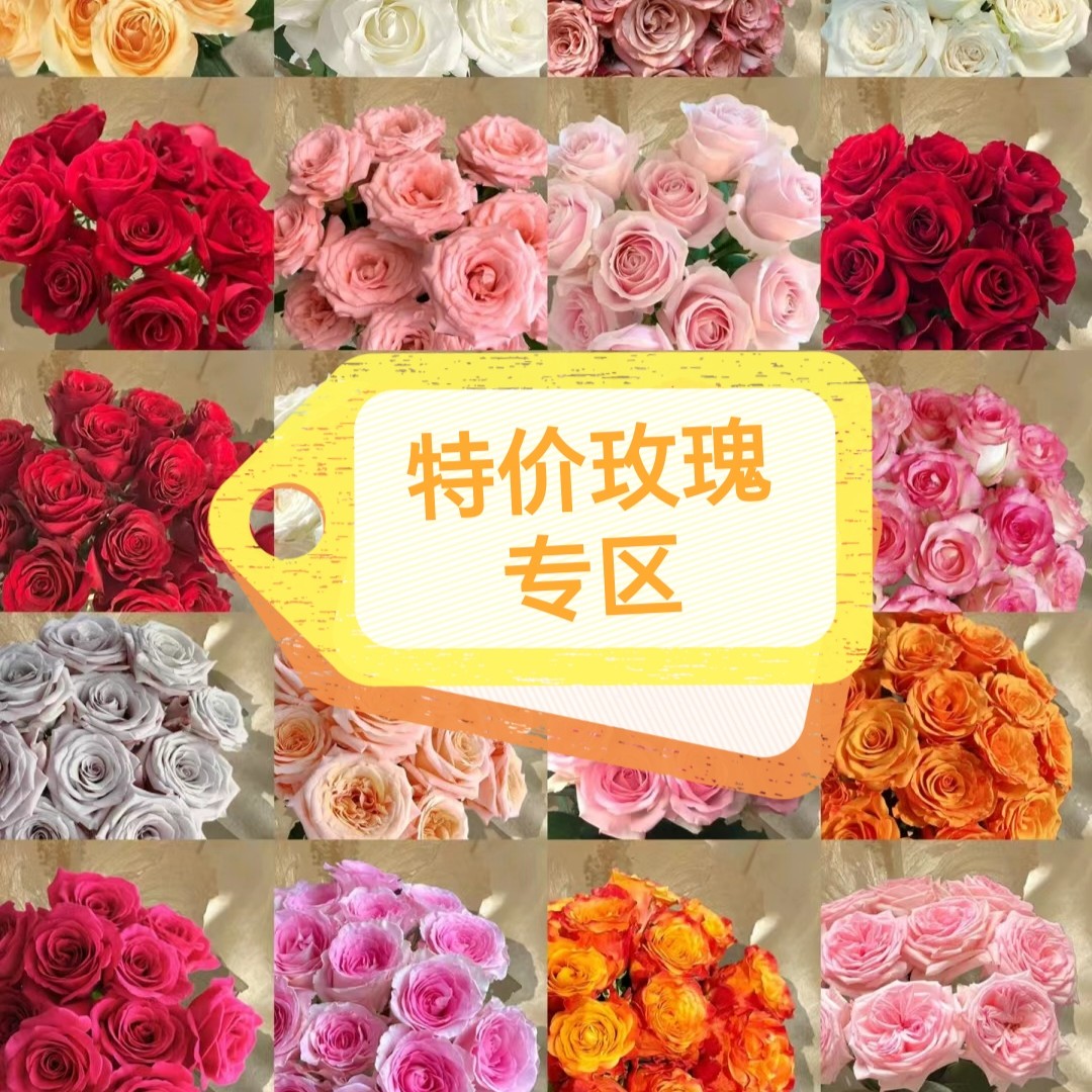 【特价包邮玫瑰】 1扎20支没有运费