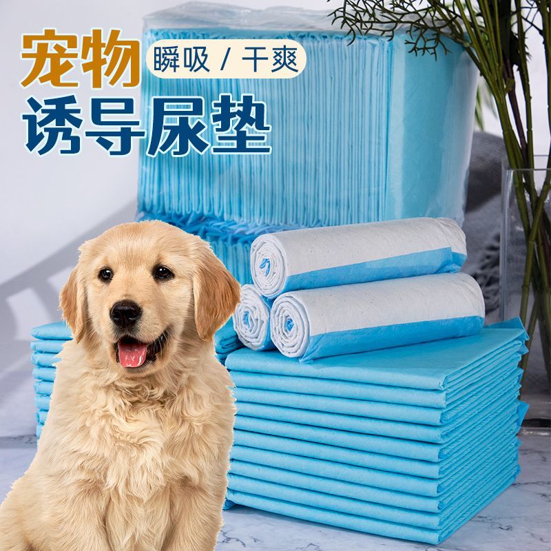 狗狗尿垫宠物狗狗用品猫咪训导尿垫泰迪尿不湿隔尿垫狗厕所必备品
