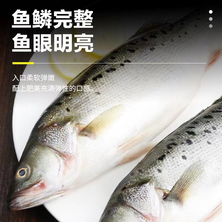 深海野生海捕鲈鱼 肉质鲜嫩 鲜鱼速冻锁鲜青岛发 5斤共6-8条