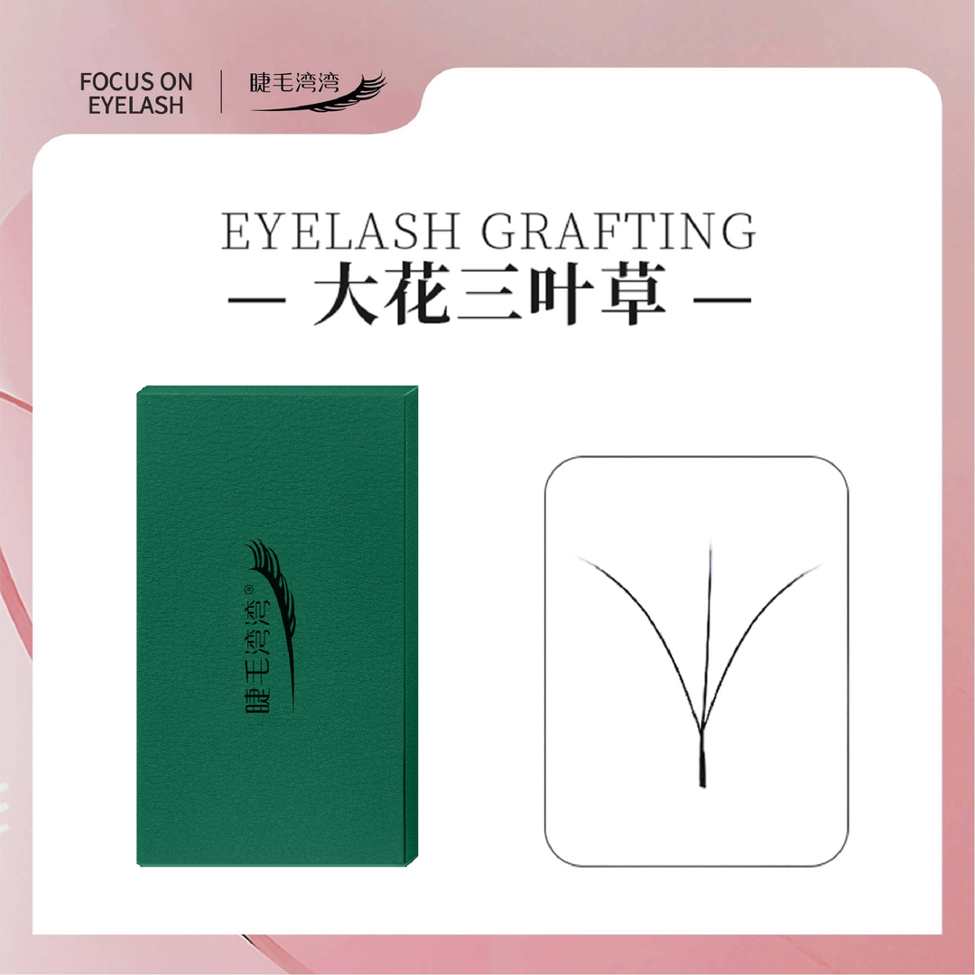 Eyelash bay bay/睫毛湾湾0.05大花三叶草 高成花率 快速嫁接