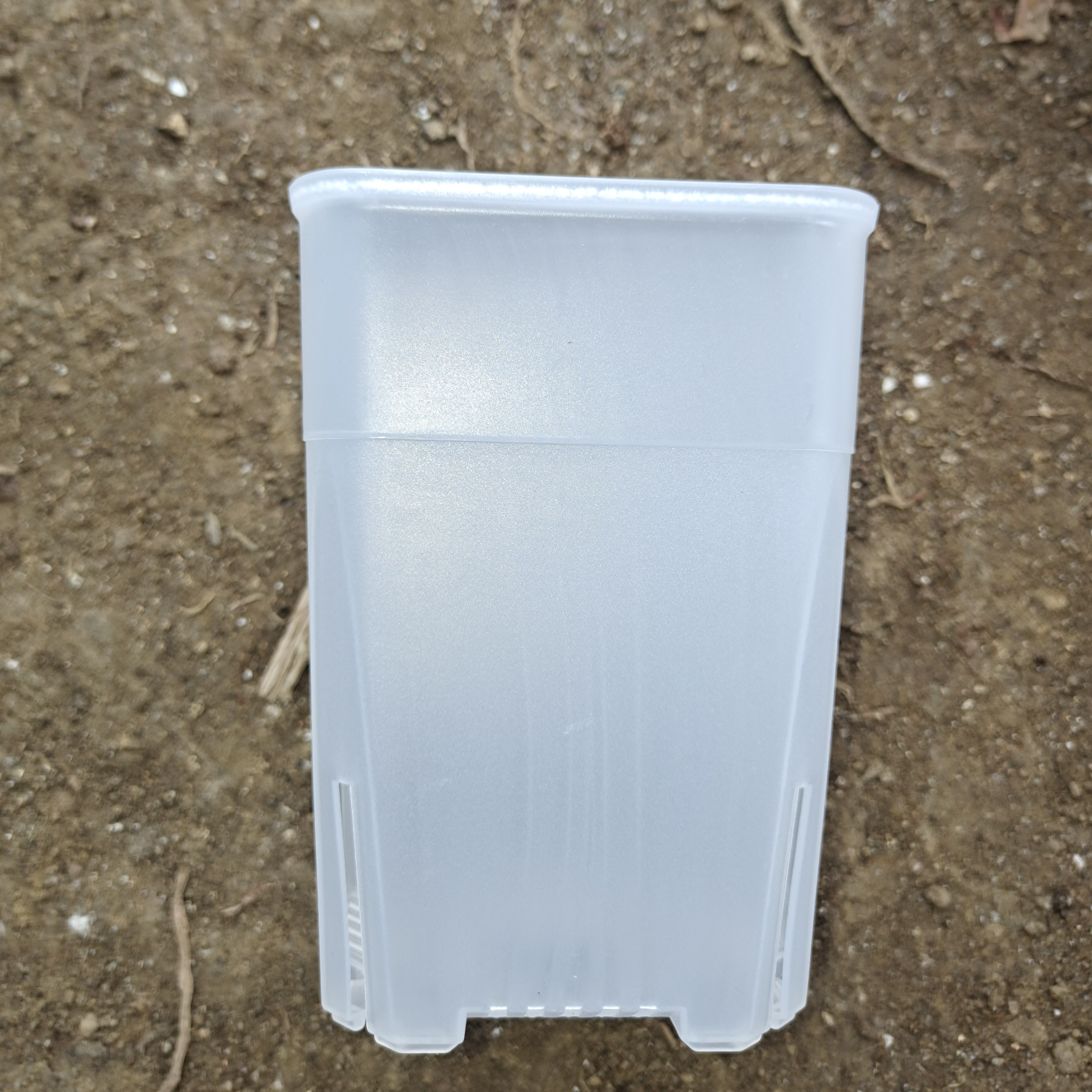 保温朱顶红泥炭土花盆透明花盆家用种植透明塑料黑白瓶