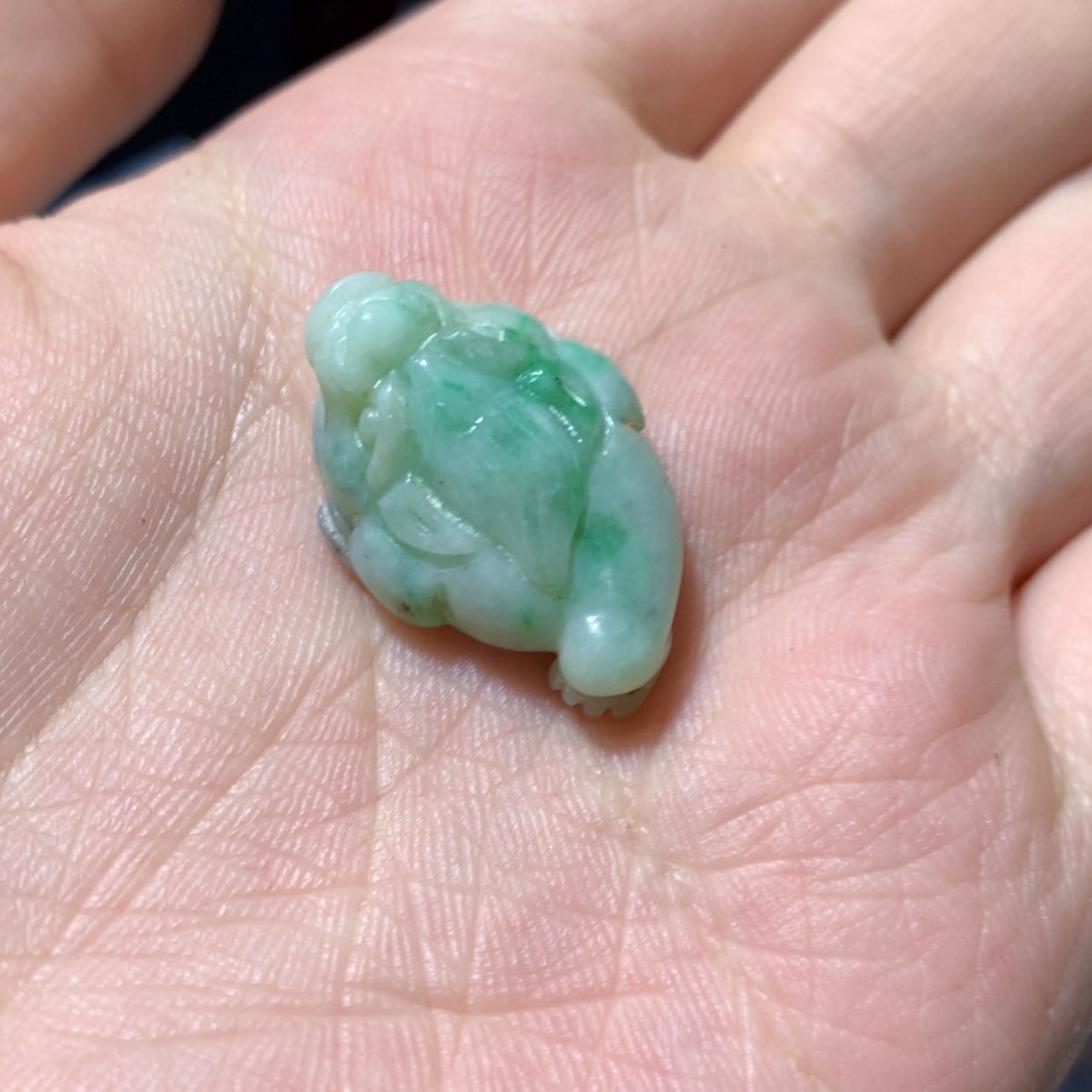 【闪购商品】翡翠颈饰未镶嵌