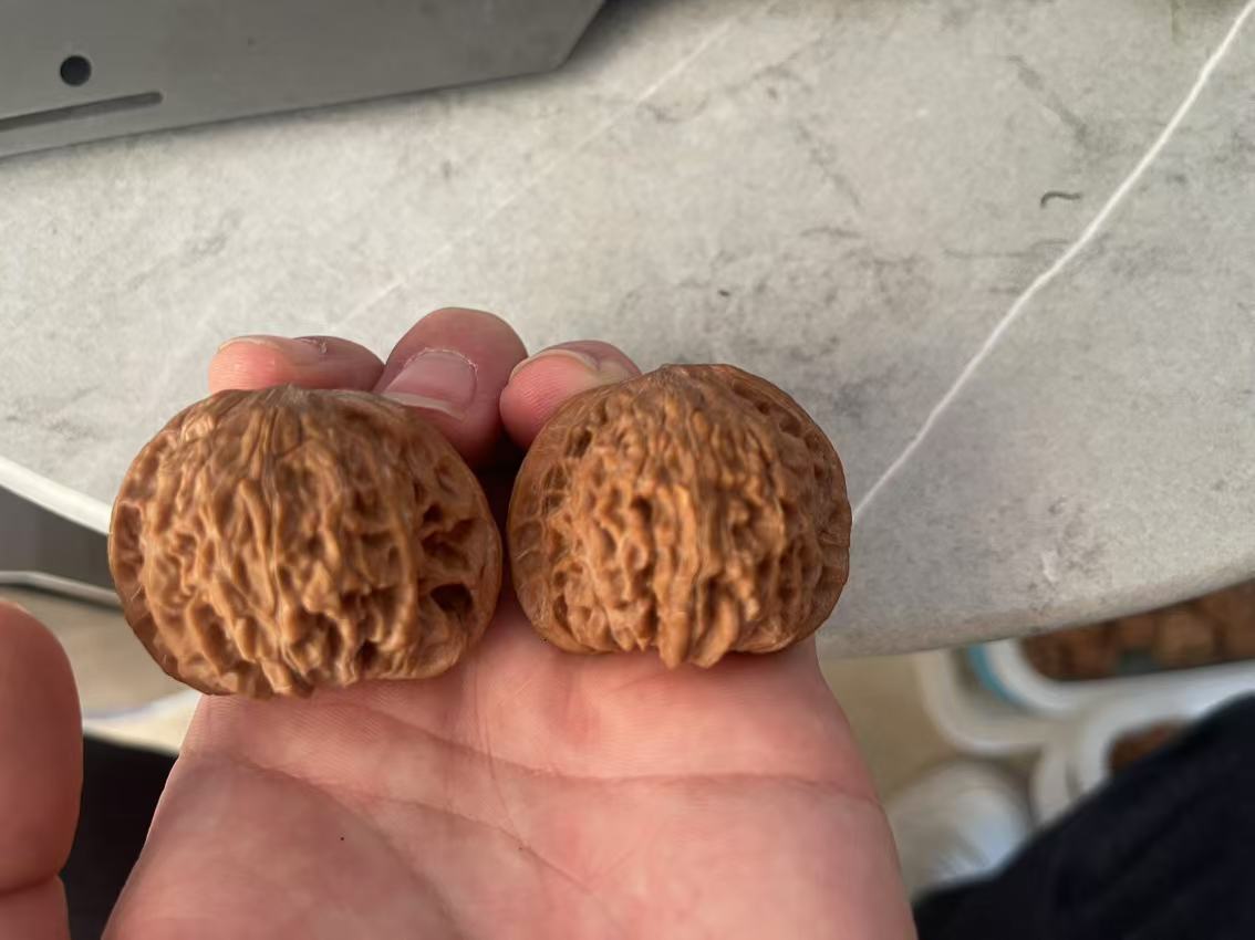 文玩核桃蛤蟆头粗筋元宝等核桃素材手盘直播下单链接核桃文玩