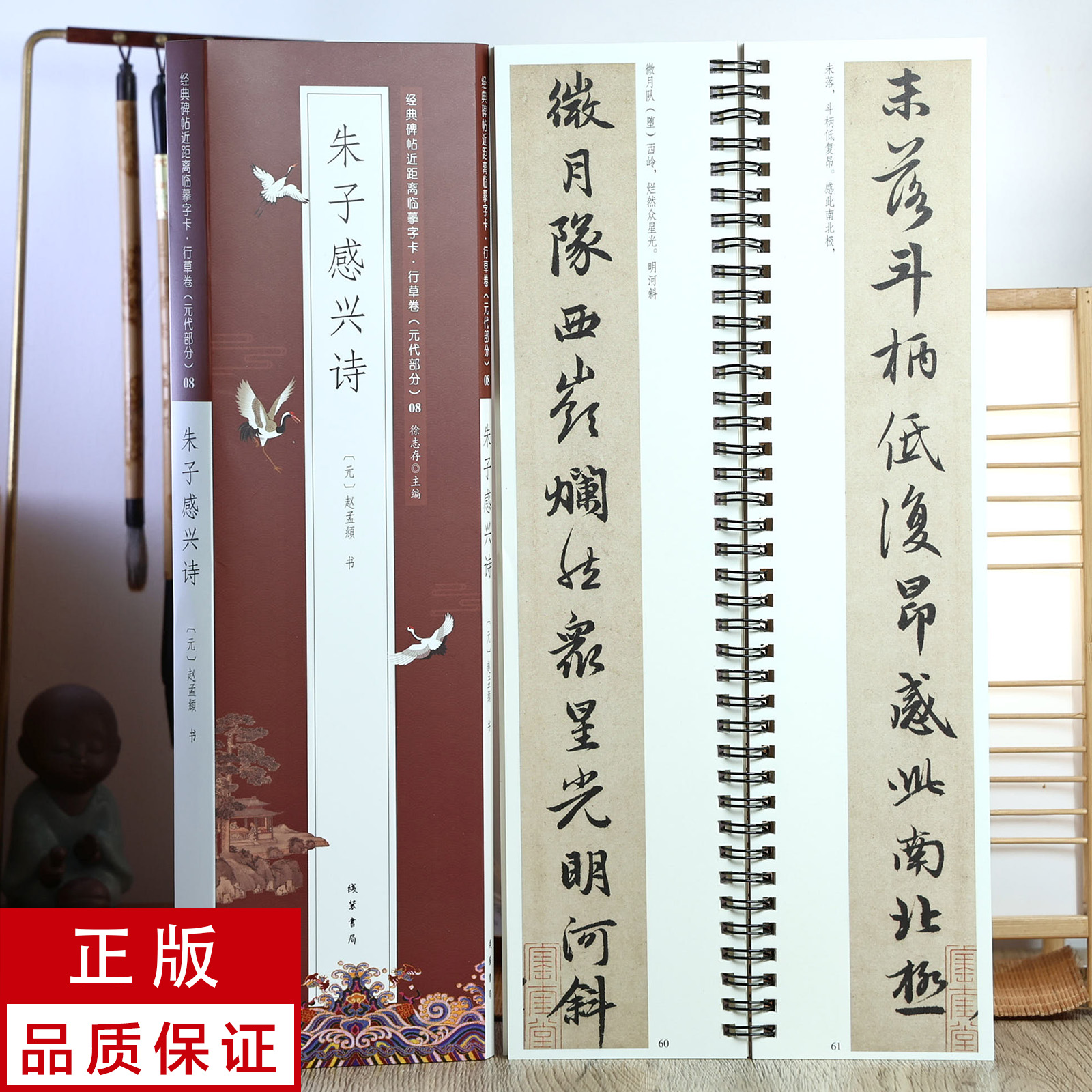 赵孟頫行书朱子感兴诗 静文轩近距离临摹字帖