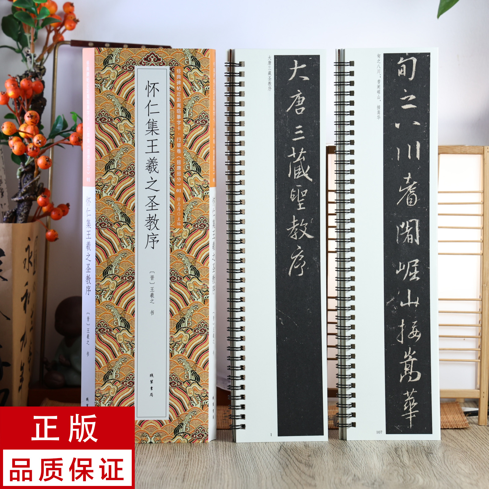 怀仁集王羲之圣教序2册行书 静文轩近距离临摹字帖