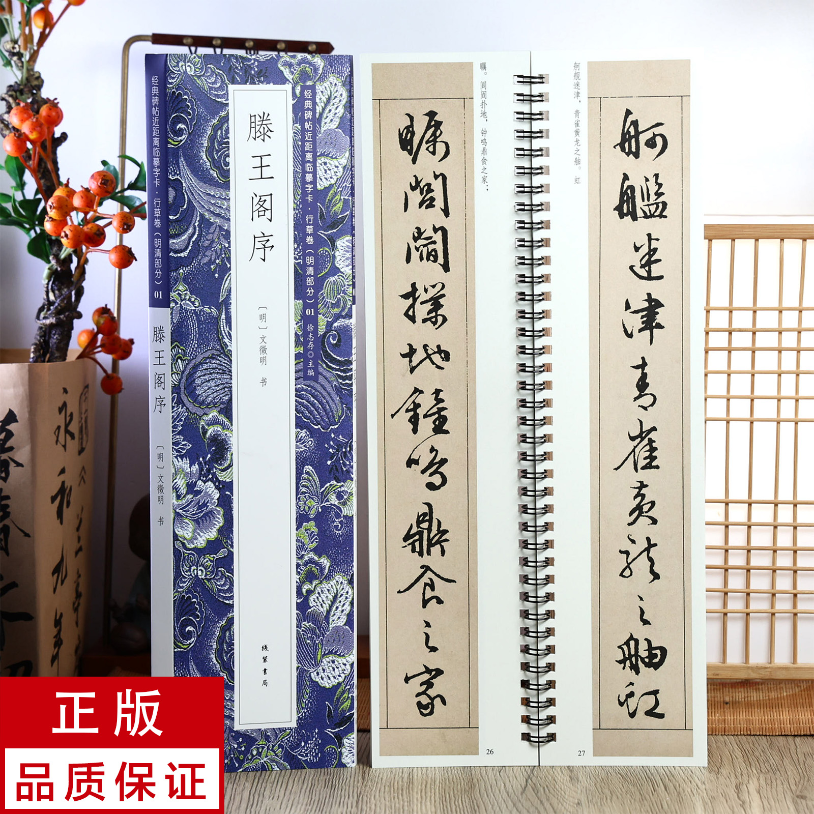 文徵明行书滕王阁序 静文轩近距离临摹字帖