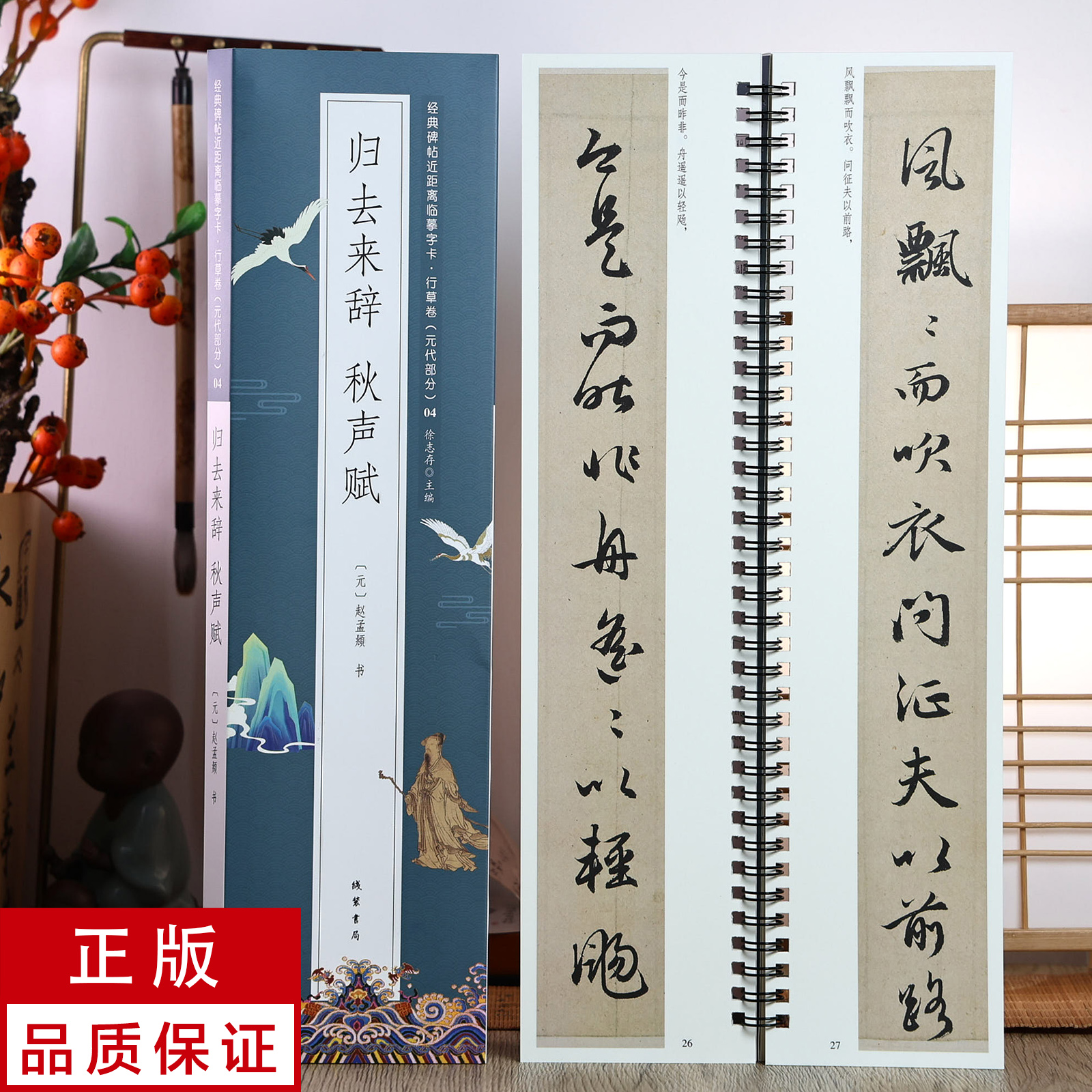 赵孟頫行书归去来辞 秋声赋 静文轩近距离临摹字帖