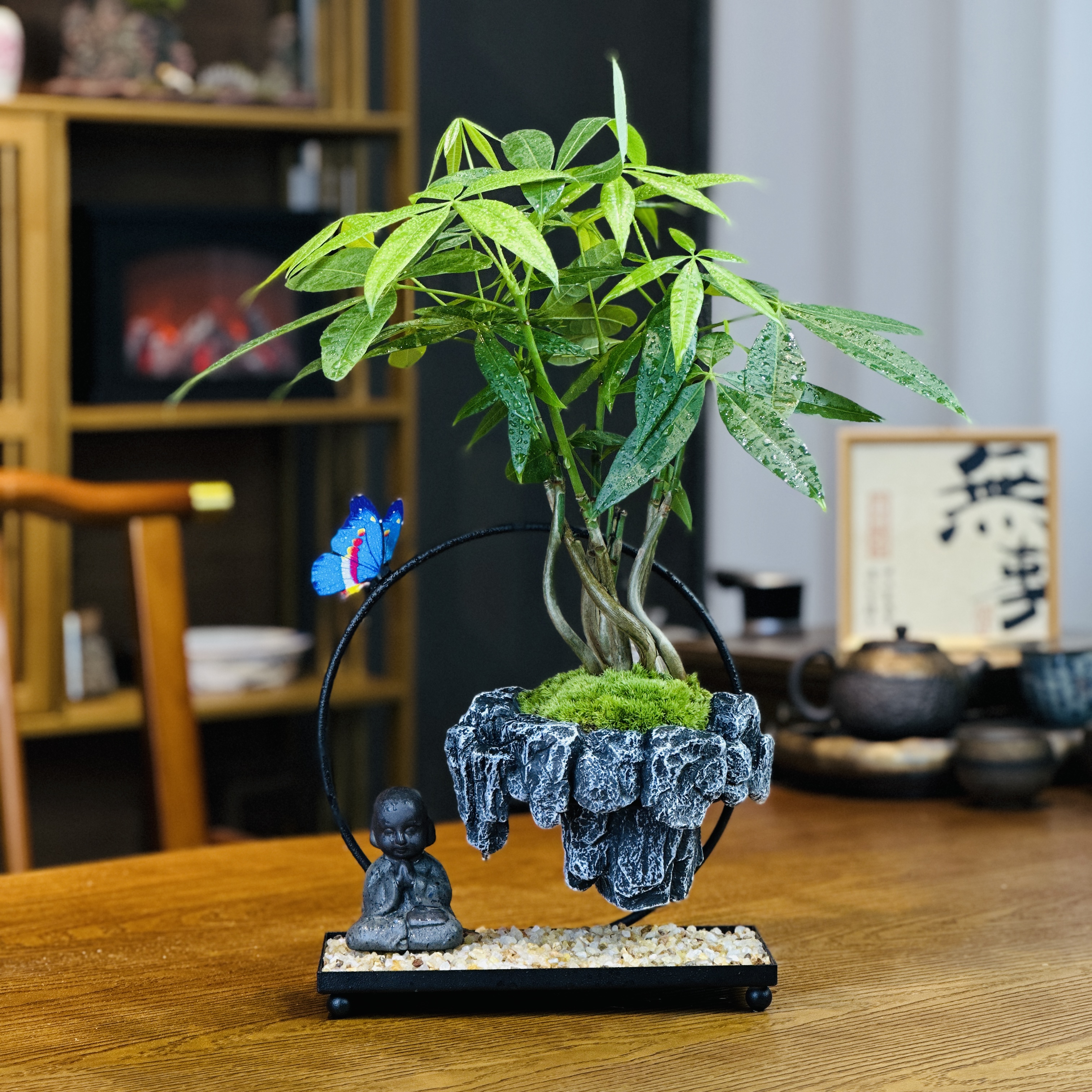 天空之城【发财树】绿植盆栽花茶桌办公桌植物桌面办公室四季造景