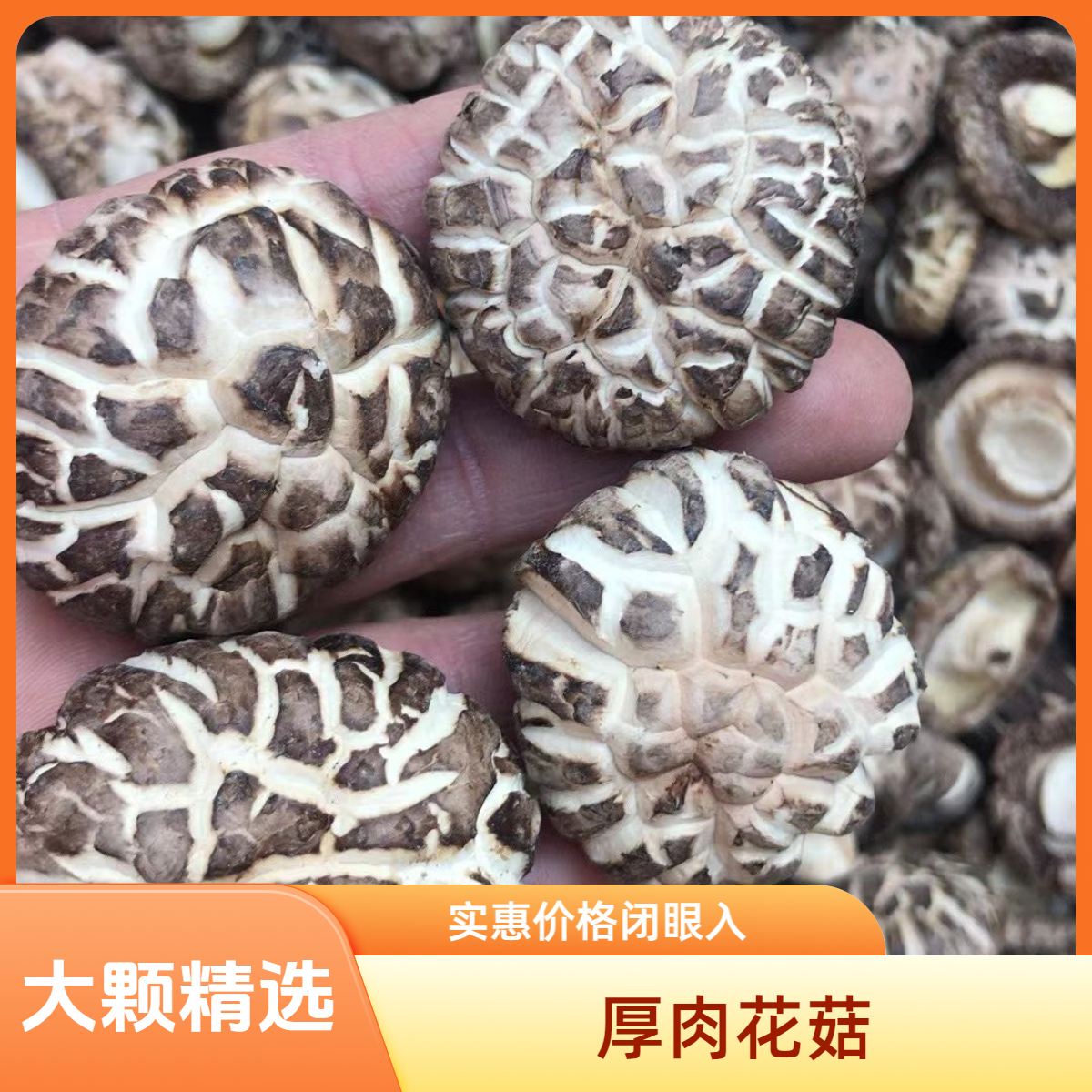 厚肉花菇 香菇 广东楚林鱼胶花胶 500克  