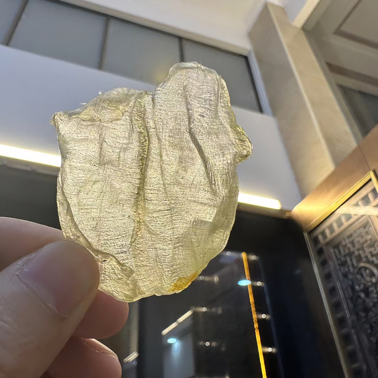 200头开片白花胶 澳白 250克-500克