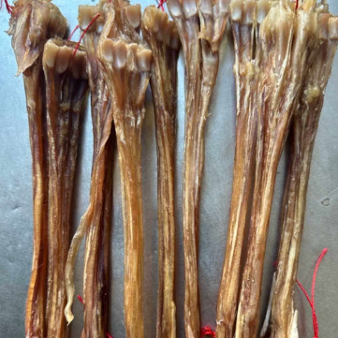 枭鹿梅花鹿鹿筋一条