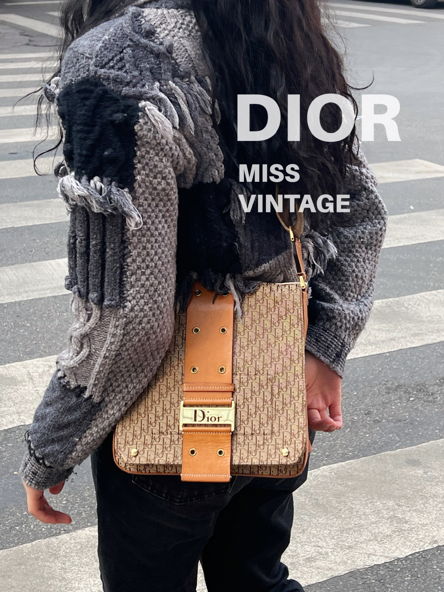 95新 DIOR/迪奥 觅时/南瓜老花punk斜挎包/109398