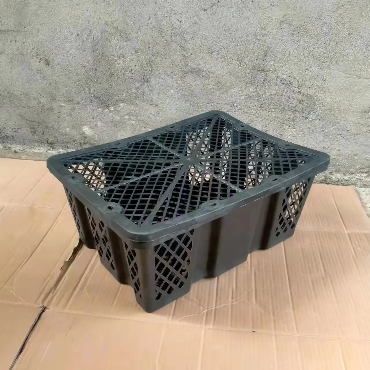 小鸡苗鸽子苗框框