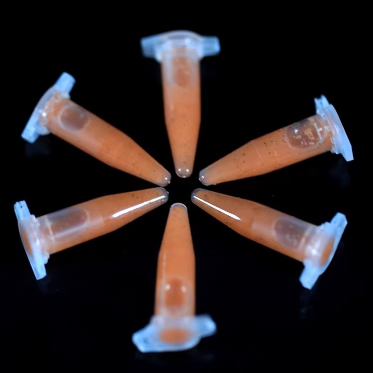 星空水母海水宠物饲料食物冷冻鱼粮丰年虾干料水母海星饲养用品