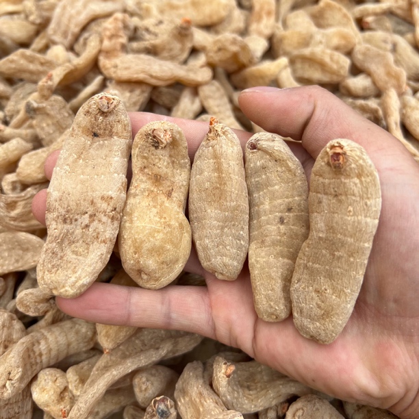 云南山货天麻【农产品】