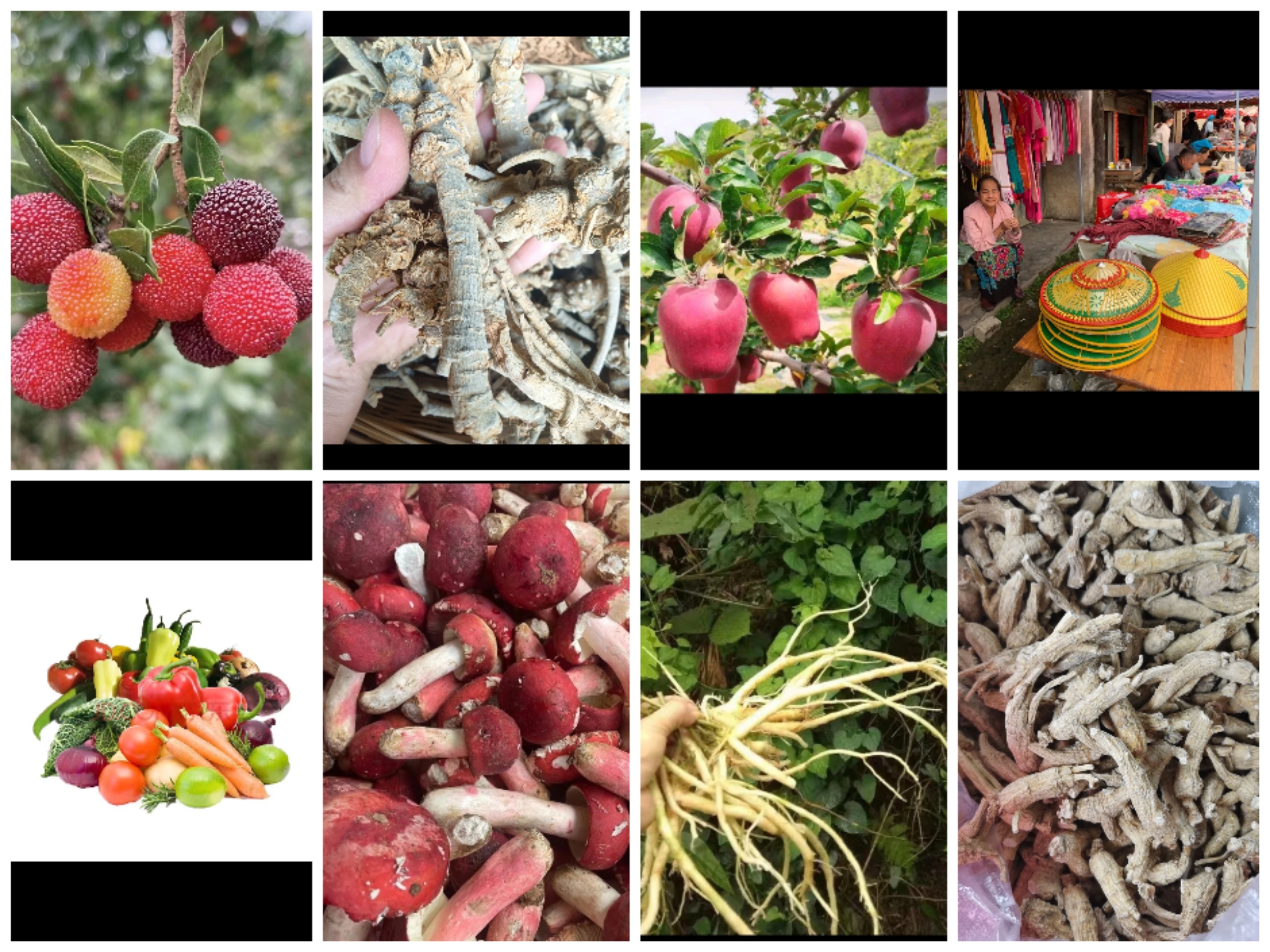 ｛临时链接｝云南山货土特产500g