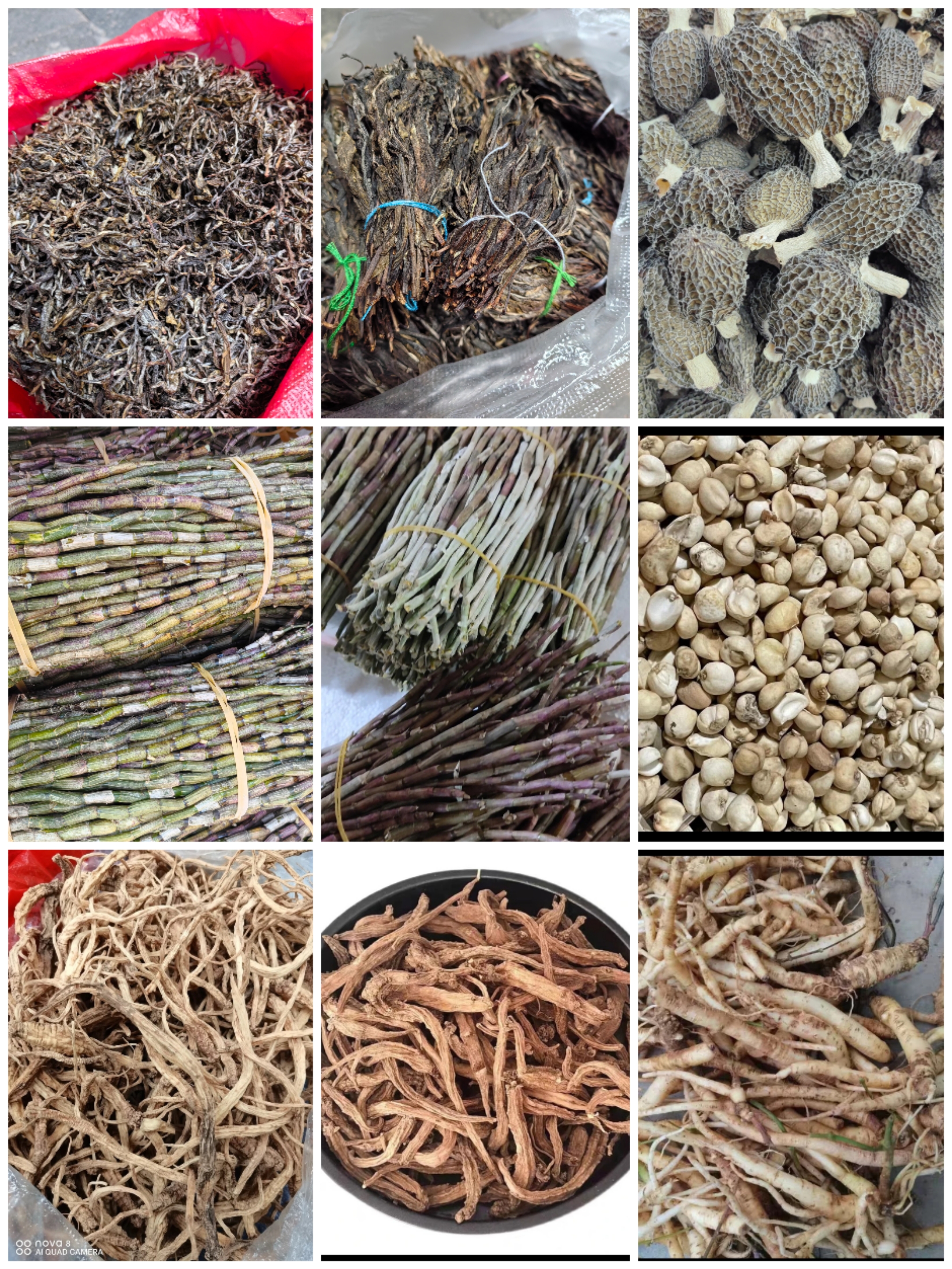《临时链接》云南山货土特产