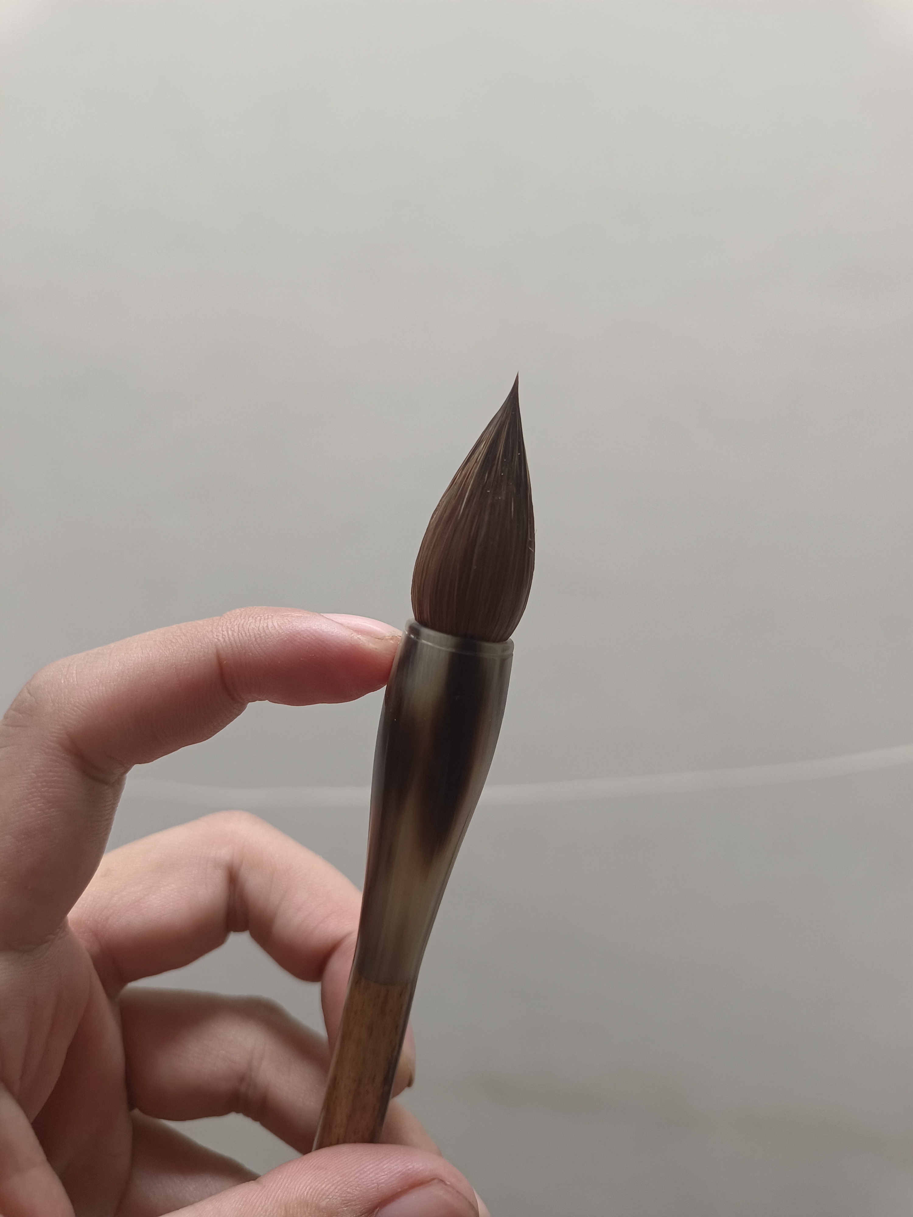 紫狼蒜头出锋3.4口径1.25－1.3，牛角斑竹杆，不加健