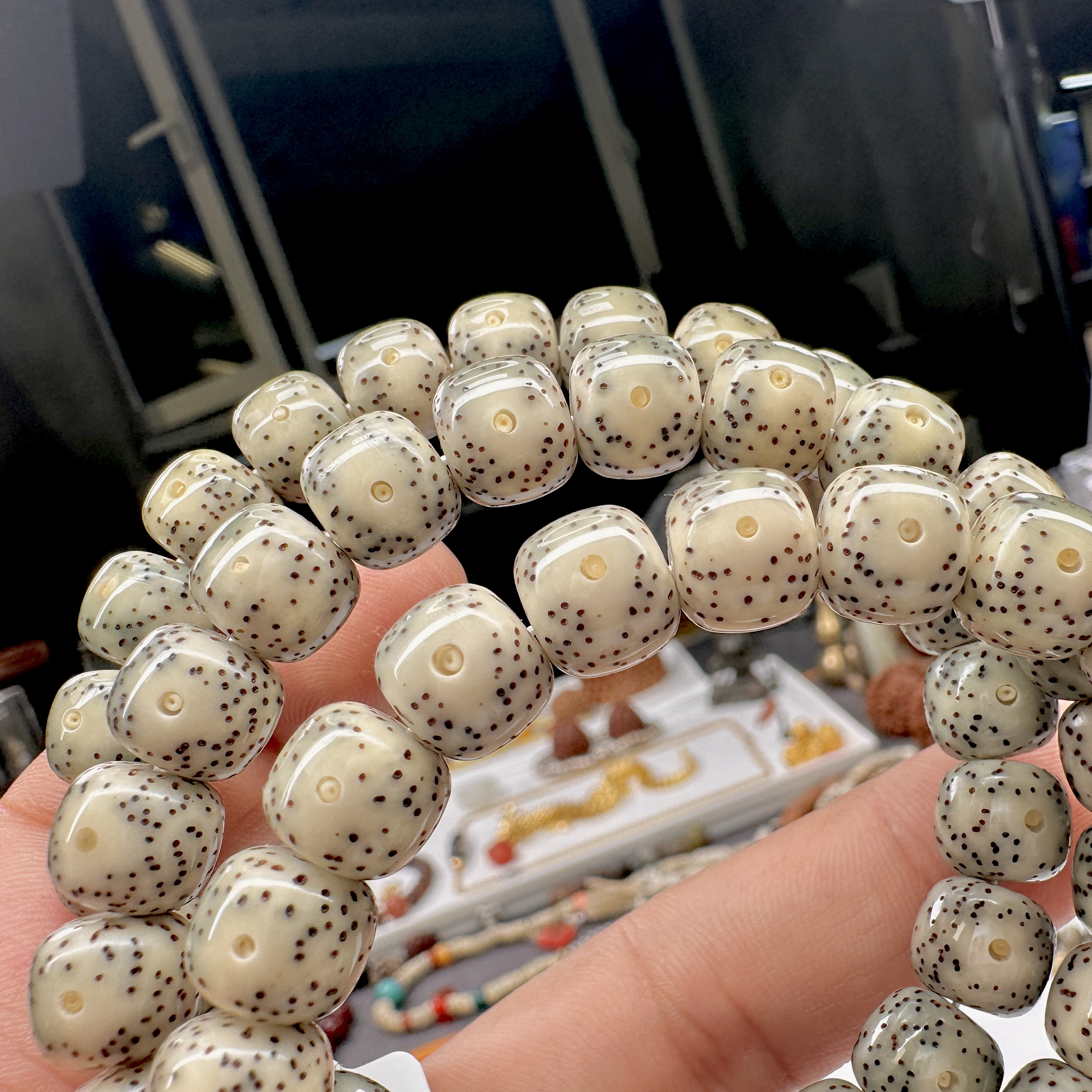 PUTIBAI菩提白B文玩星月菩提青花瓷黄金瞳大眼睛