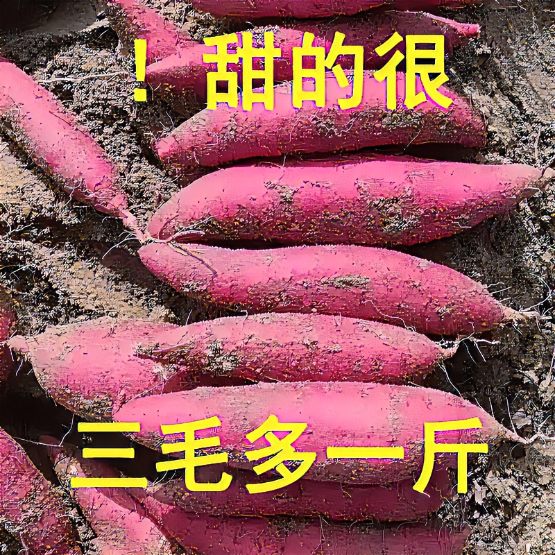 【抢购中】超甜沙地红薯新鲜红黄心蜜薯地瓜1-9斤板栗番薯蔬菜水果