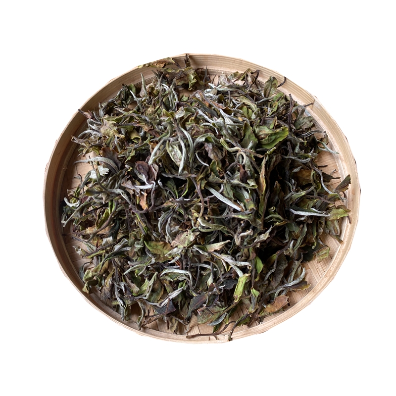 2025年崖画古树白茶200g头春头采兰花香栀子花普洱香茶气足超甜