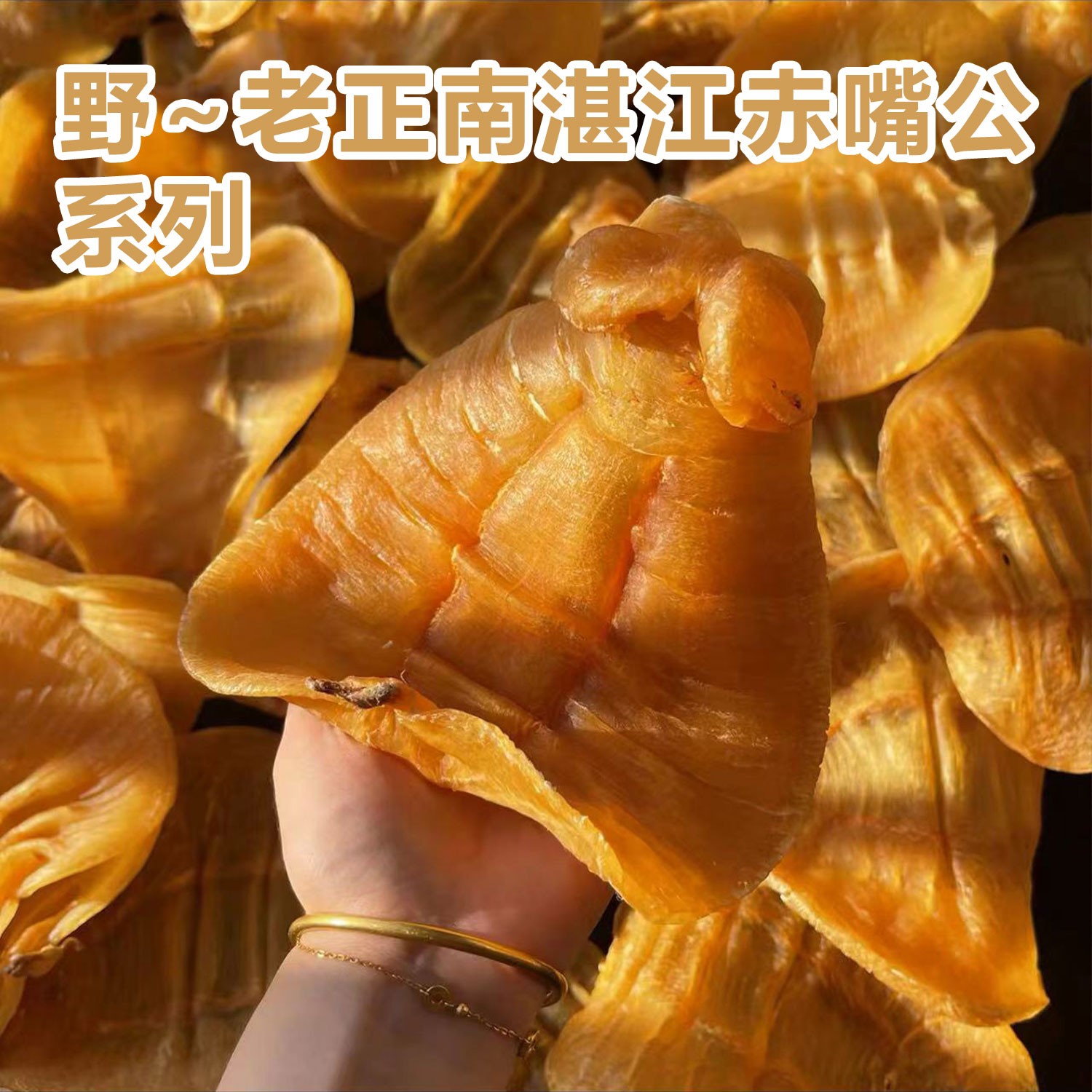宝润立儿【陈年老胶】正宗正南湛江赤嘴鳘鱼胶公肚赤嘴公花胶孕妇