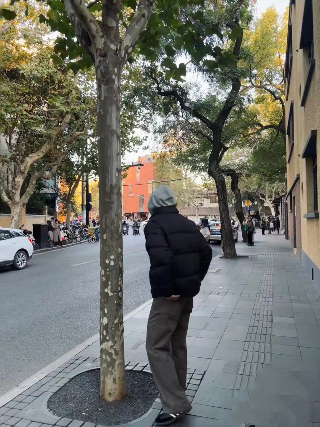 2号链接 33~56 鼎鼎 男女板鞋系列合集 懂的都懂男女鞋运动