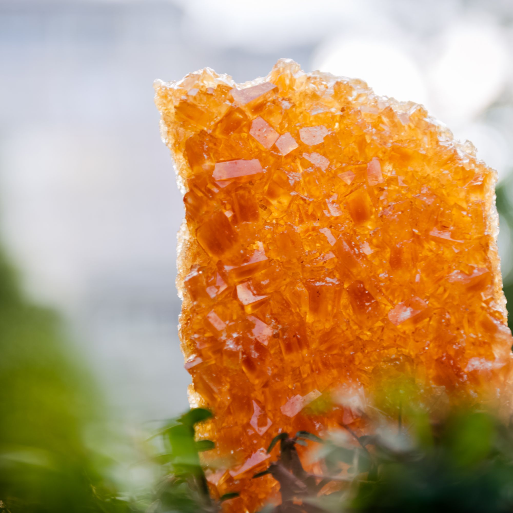 多晶体冰糖/红糖 | 手工老冰糖 ｜合作