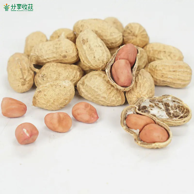 生态原味炒花生/糖粘/五香花生米