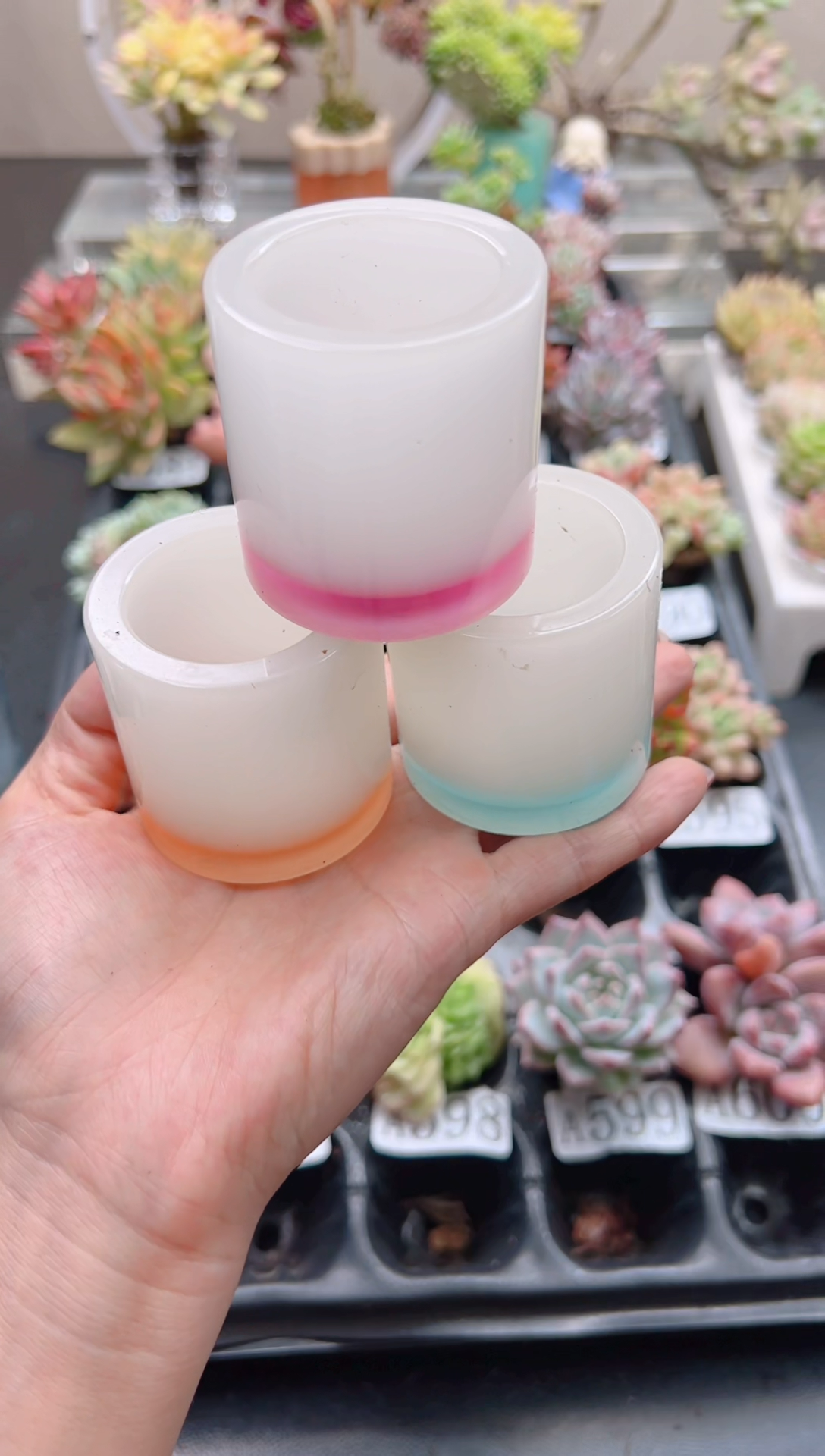【闪购商品】魅影小圆盆一个（三色可选）