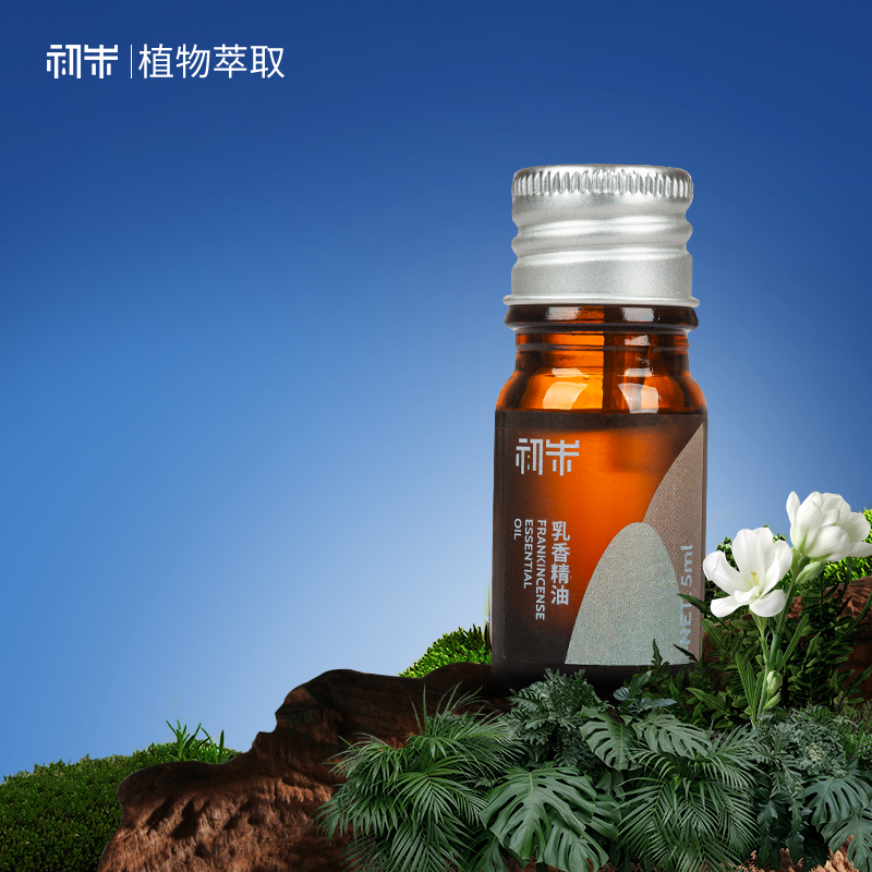 初朱乳香精油5ml索马里乳香