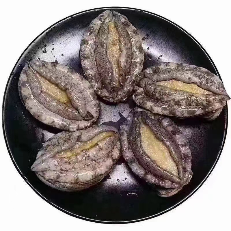 鲜活鲍鱼【10只】，规格可选