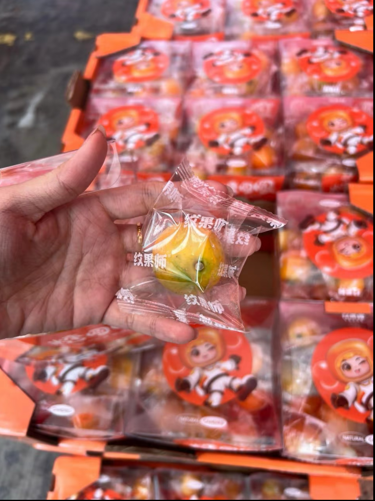 【糖圆圆】脆蜜金桔整箱