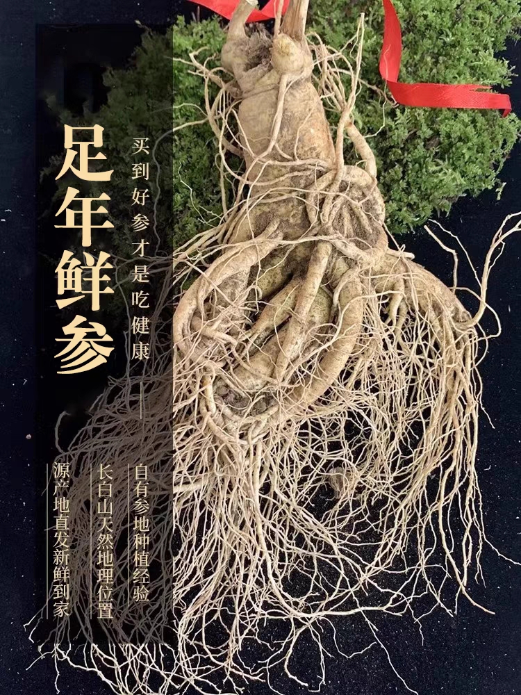 长白山鲜人参单支300克泡酒送礼土豪款（清洗不支持退货）